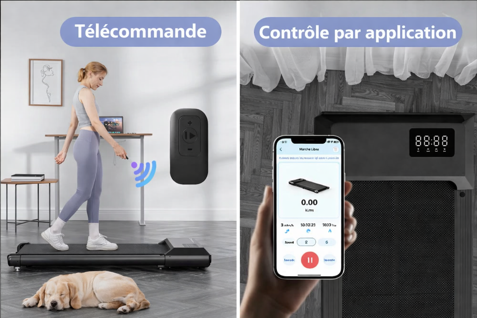 Tapis de marche électrique compact 80 cm moteur 2.2 HP silencieux 2 en 1